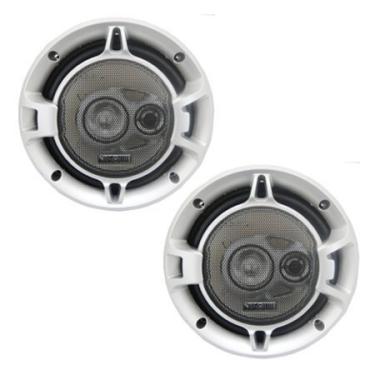 Absolute :: BLS-6503 :: $18.99