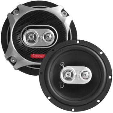 Cadence :: CS3.65 :: $24.00