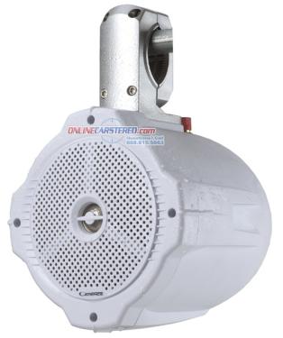 Cadence :: SQWB6-W :: $169.00