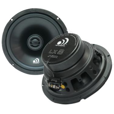 Massive Audio :: LX8 :: $55.00