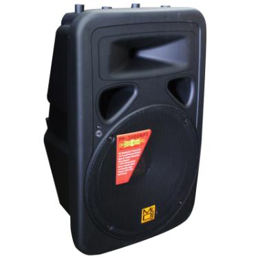 Absolute :: PP3000MP3 :: $169.99