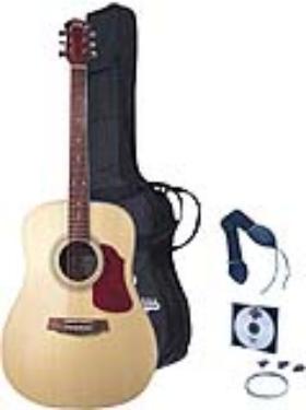 Pyle Pro :: PGA20 :: $79.00