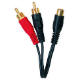Boss Audio BY2M