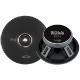 Boss Audio CPG10.8