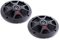Cerwin Vega W65