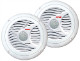 Pyle PLMR60W