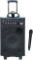 Pyle Pro PWMA1080I