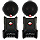 Rockford Fosgate P1T-S