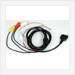 Vehicle Specific iPod Interfaces