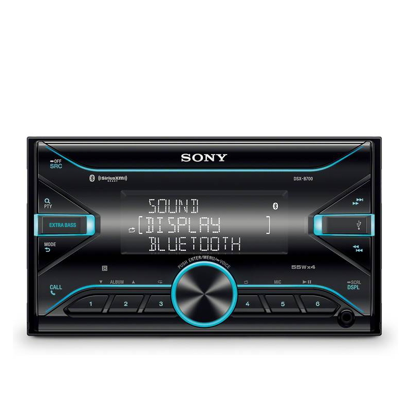 Sony DSX-B700