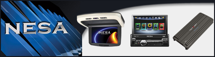 Nesa International