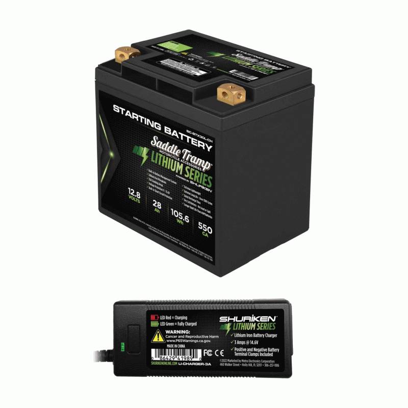 Metra Electronics BC-BTX30L-CH Car Batteries