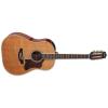 Takamine CRN-TS1 Guitars