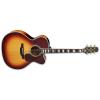 Takamine EF250TK Guitars