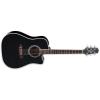 Takamine EF341SC Guitars