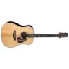 Takamine EF360S-TT Guitars