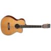 Takamine EF740FS-TT Guitars