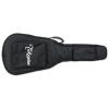 Takamine GB-S Cases & Gig Bags