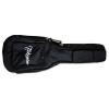 Takamine GB-W Cases & Gig Bags