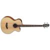 Takamine GB30CE Guitars