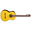Takamine GC5-NAT Guitars