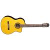Takamine GC5CE Guitars