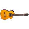 Takamine GC6CE Guitars