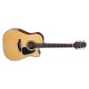 Takamine GD30CE Guitars
