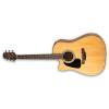 Takamine GD30CE-LH Guitars