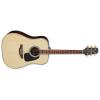 Takamine GD51 Guitars