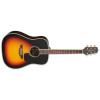 Takamine GD51-BSB Guitars