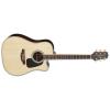 Takamine GD51CE Guitars