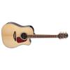 Takamine GD71CE Guitars