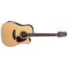 Takamine GD90CE-ZC Guitars