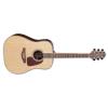 Takamine GD93 Guitars