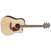 Takamine GD93CE Guitars
