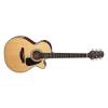 Takamine GF30CE Guitars