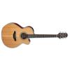Takamine GN20CE Guitars