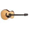 Takamine GN30 Guitars