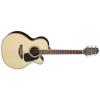 Takamine GN51CE Guitars