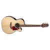 Takamine GN71CE Guitars