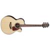 Takamine GN93CE Guitars