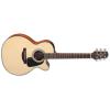 Takamine GX18CE Guitars