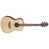 Takamine GY93 Guitars