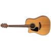 Takamine P1DC-LH Guitars