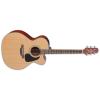 Takamine P1JC Guitars