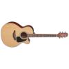 Takamine P1NC Guitars