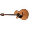 Takamine P1NC-LH Guitars