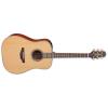 Takamine P3D Guitars