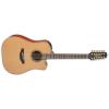 Takamine P3DC-12 Guitars